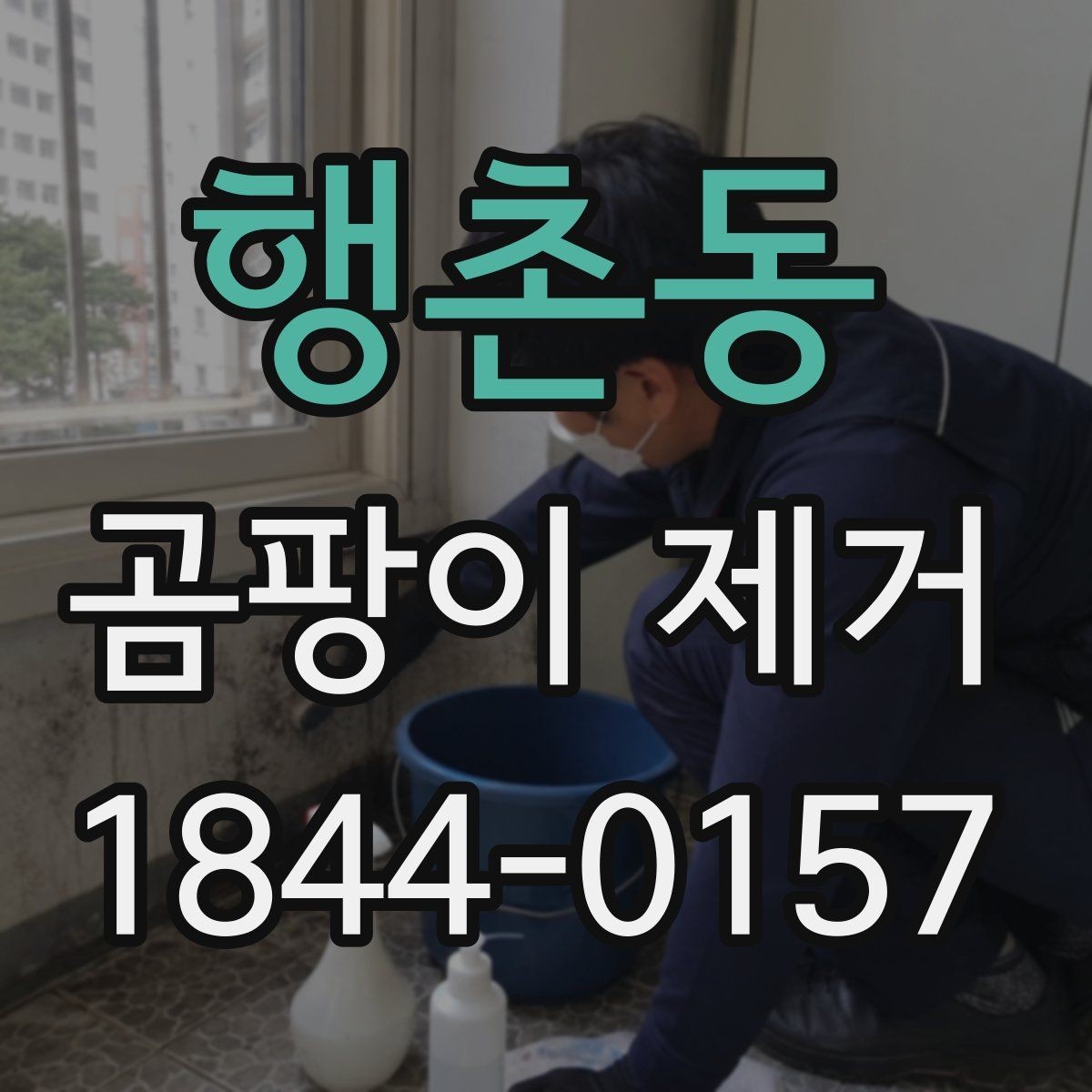 행촌동 곰팡이 제거 비용 아끼려다 놓치기 쉬운 부분