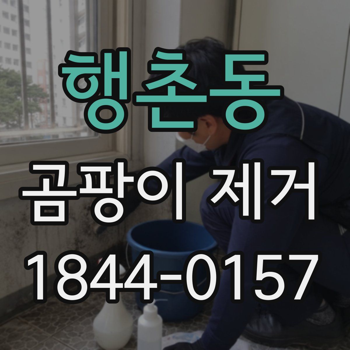 행촌동 곰팡이 제거