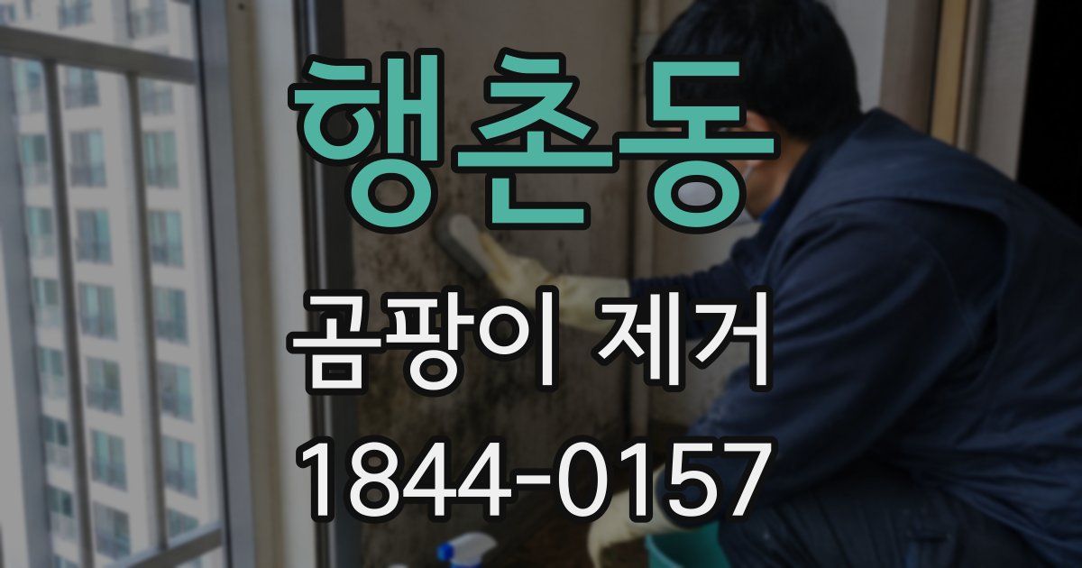 행촌동 곰팡이 제거