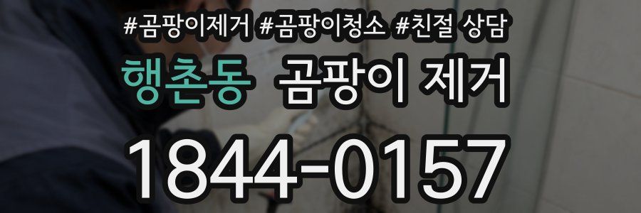 행촌동 곰팡이 제거