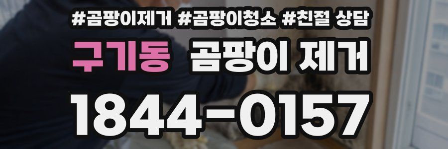 구기동 곰팡이 제거