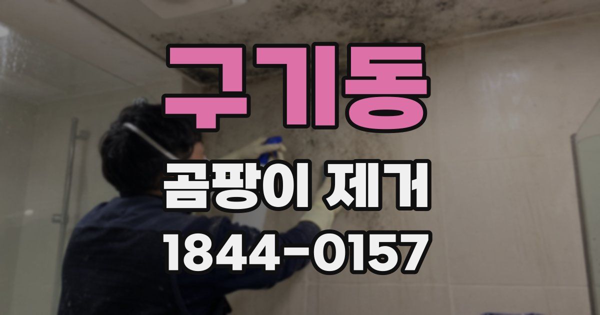 구기동 곰팡이 제거