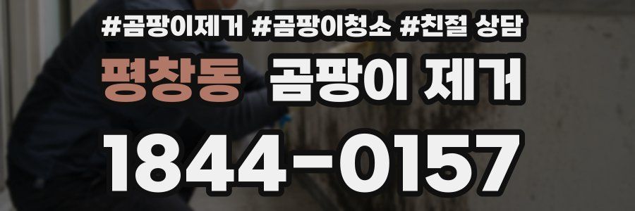 평창동 곰팡이 제거