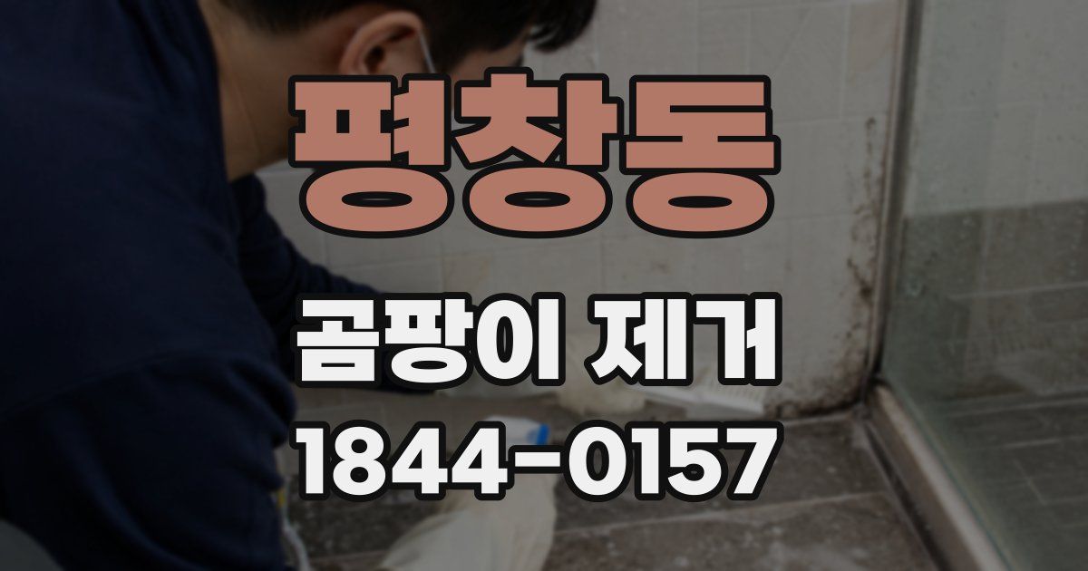 평창동 곰팡이 제거