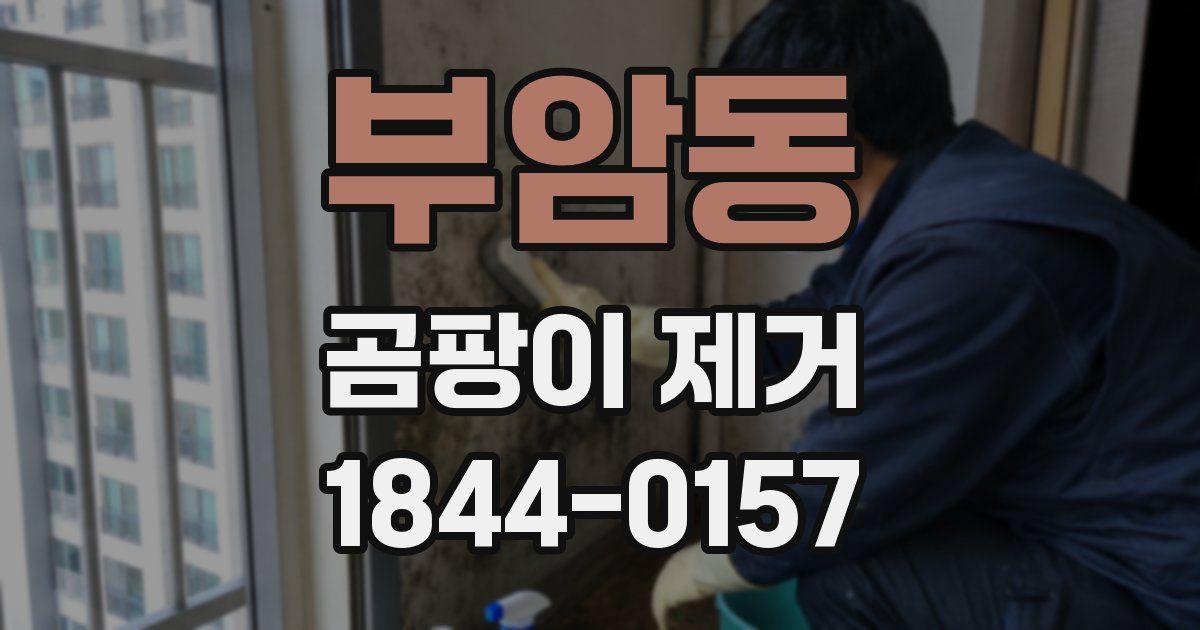 부암동 곰팡이 제거