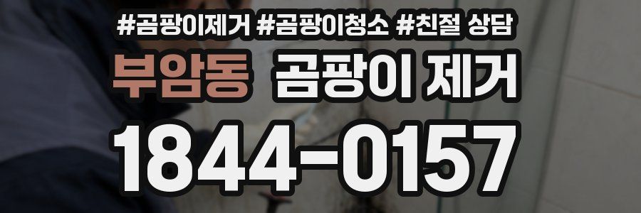 부암동 곰팡이 제거
