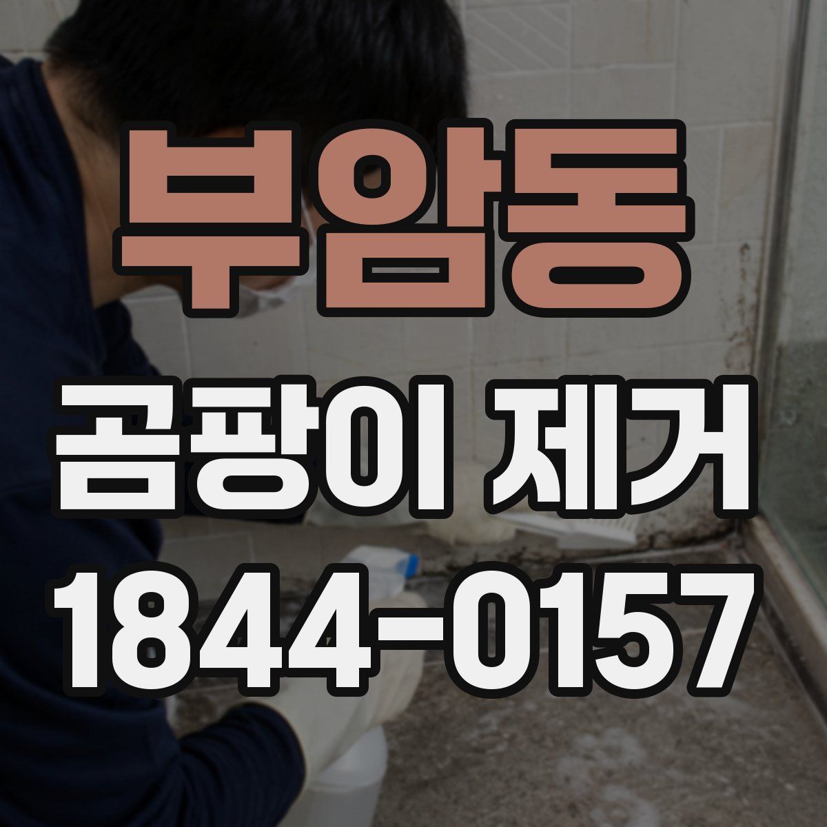 부암동 곰팡이 제거