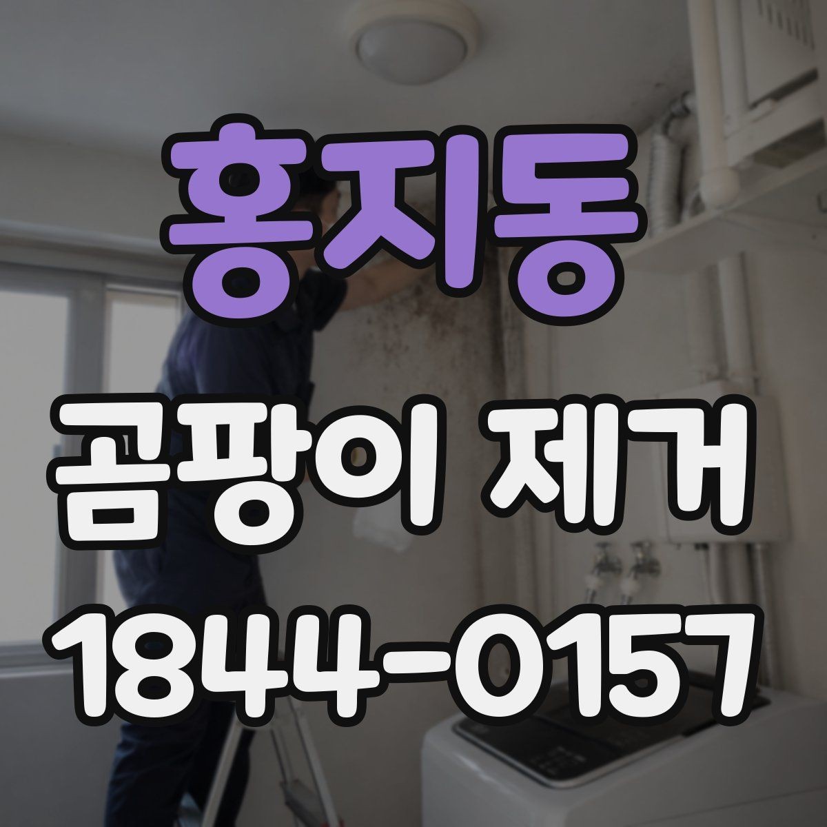 홍지동 곰팡이 제거 서비스 비교 전에 볼 핵심 기준