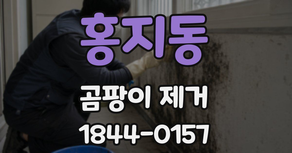 홍지동 곰팡이 제거