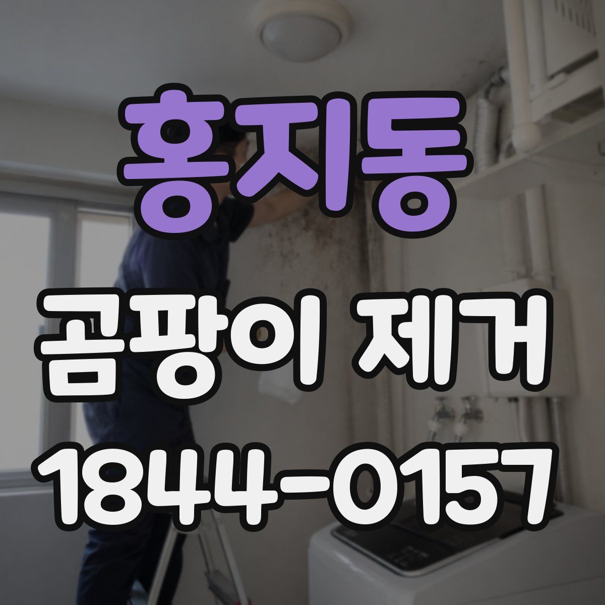 홍지동 곰팡이 제거
