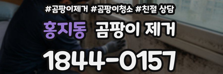 홍지동 곰팡이 제거