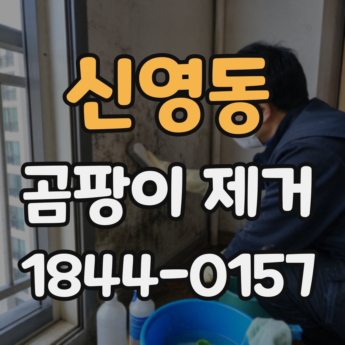 신영동 곰팡이 제거