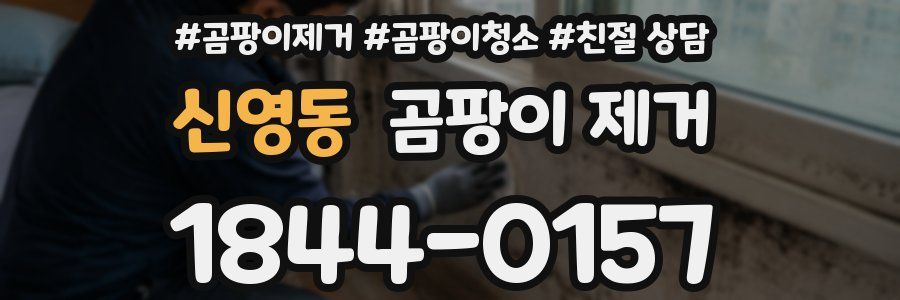 신영동 곰팡이 제거