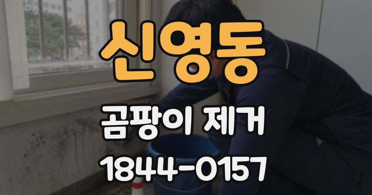 신영동 곰팡이 제거