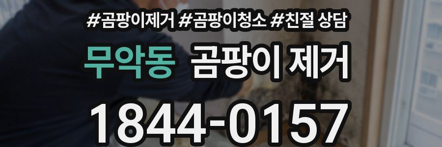 무악동 곰팡이 제거