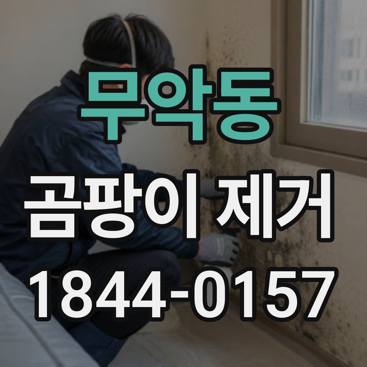 무악동 곰팡이 제거