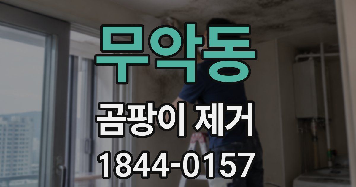 무악동 곰팡이 제거