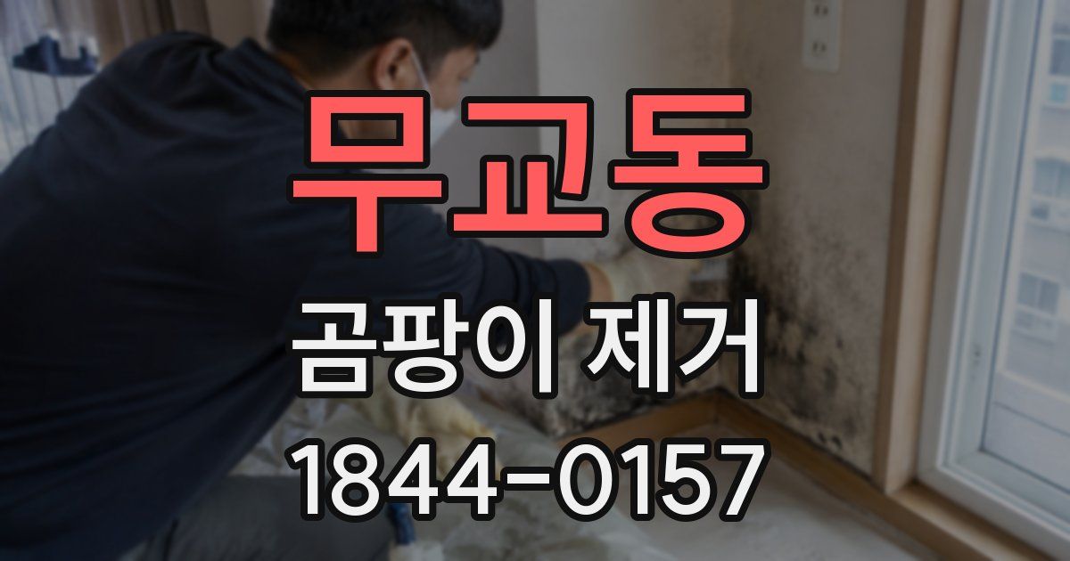 무교동 곰팡이 제거