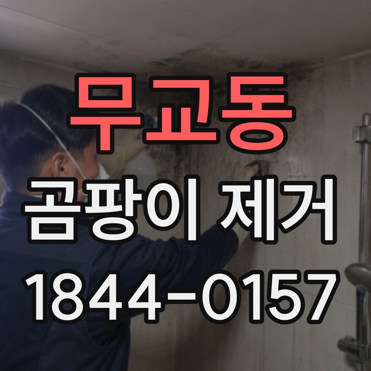 무교동 곰팡이 제거