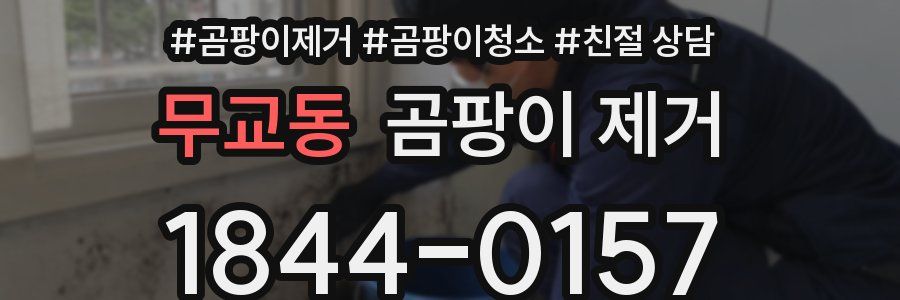 무교동 곰팡이 제거