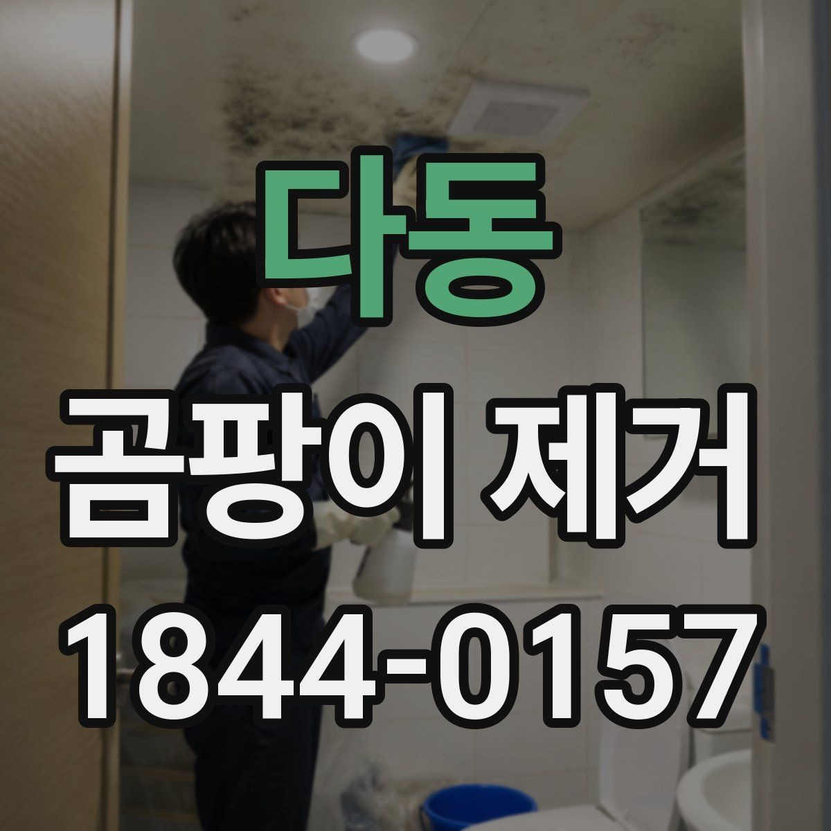 다동 곰팡이 제거 전문가 상담 전 준비하면 좋은 정보