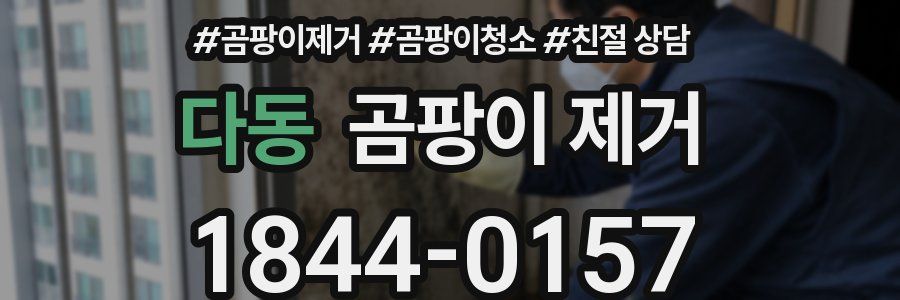 다동 곰팡이 제거