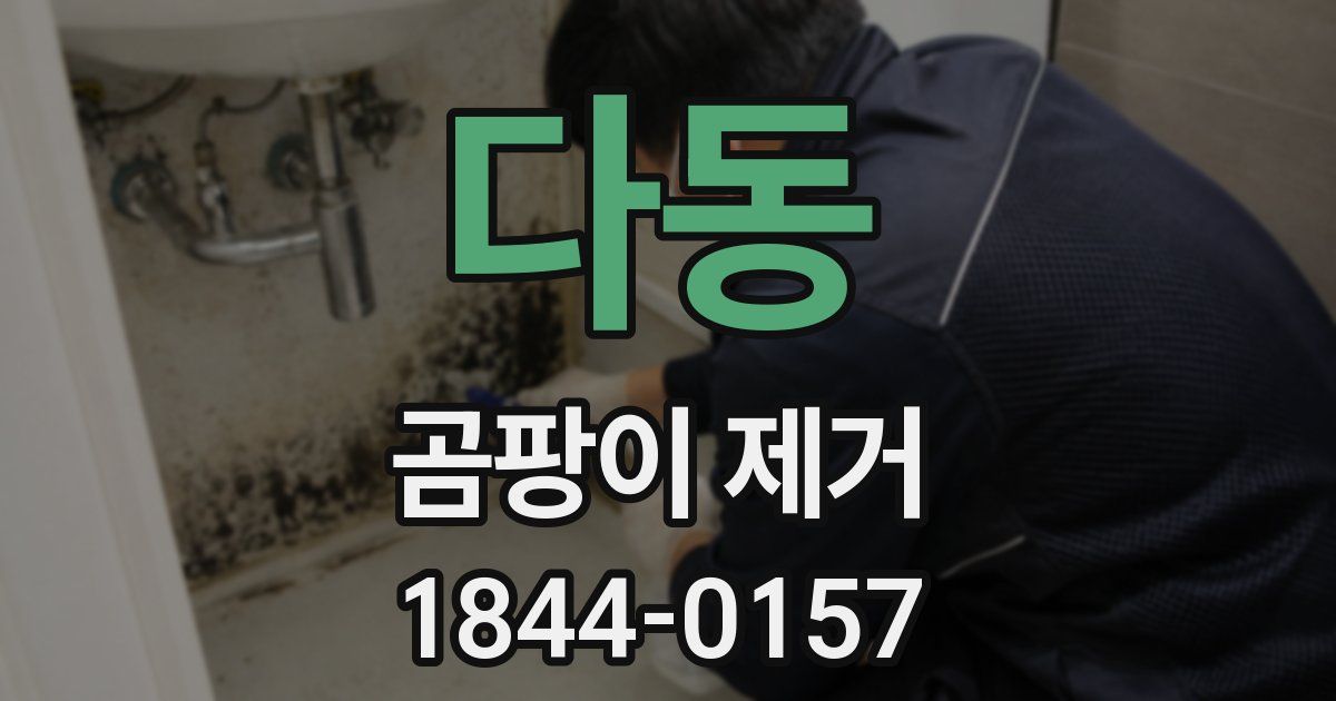 다동 곰팡이 제거