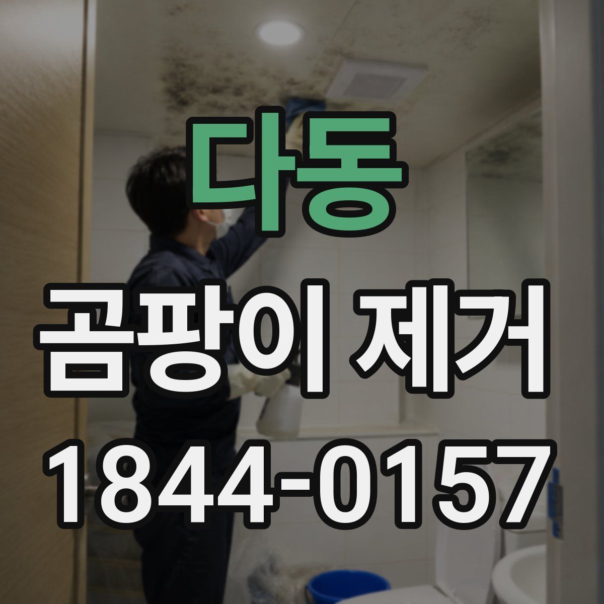 다동 곰팡이 제거