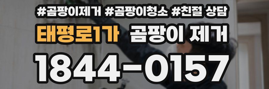 태평로1가 곰팡이 제거