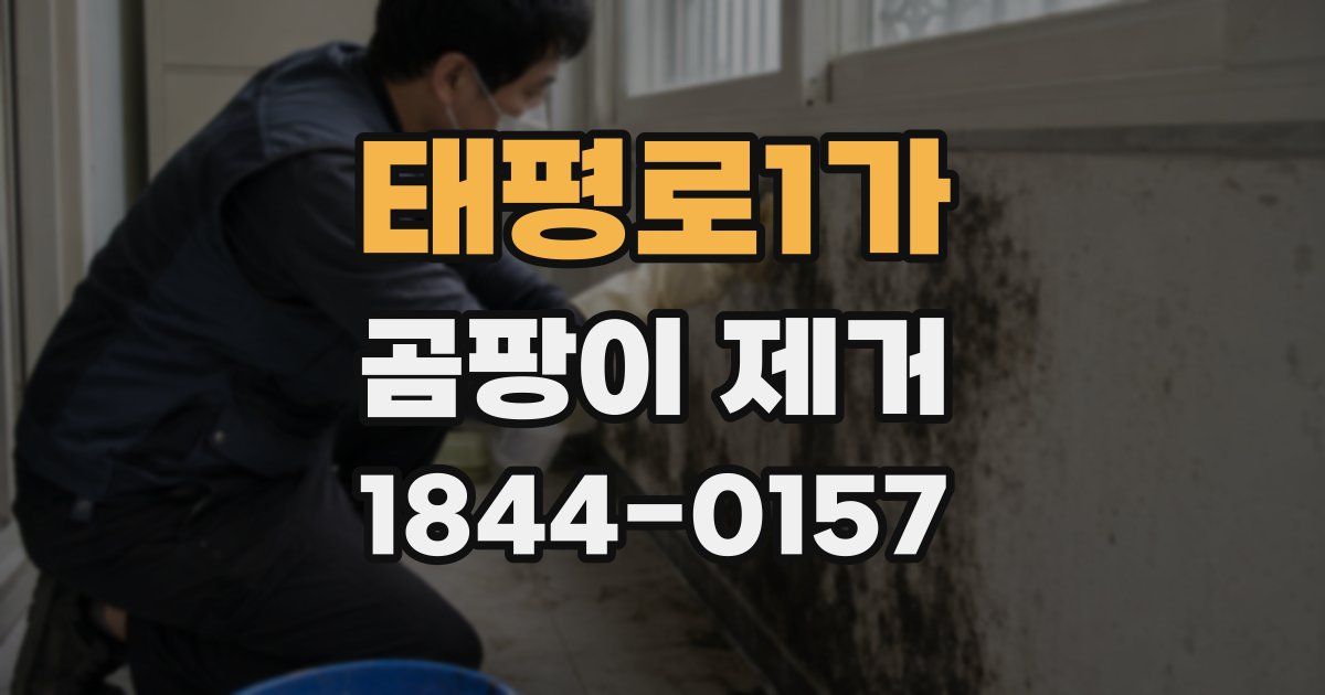 태평로1가 곰팡이 제거