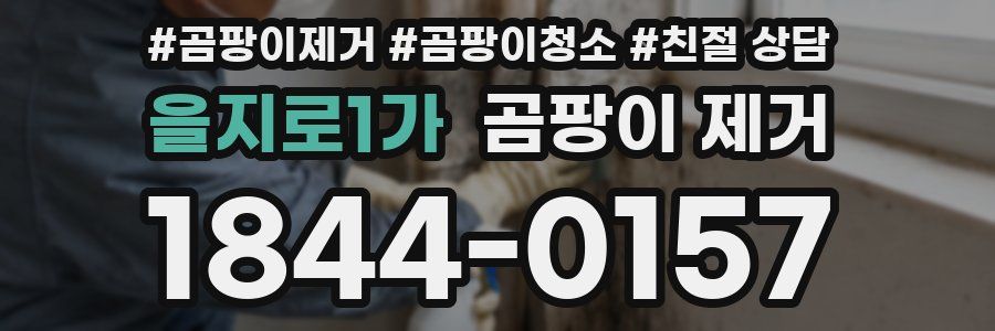 을지로1가 곰팡이 제거
