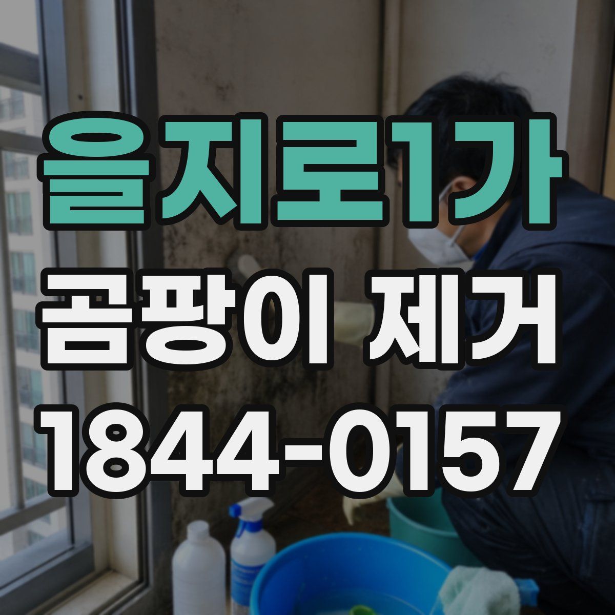 을지로1가 곰팡이 제거