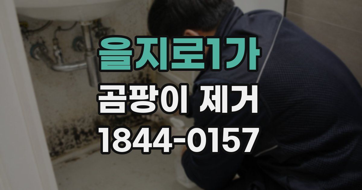 을지로1가 곰팡이 제거