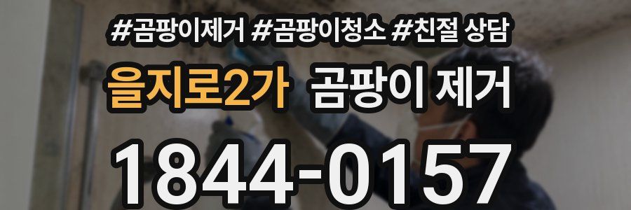 을지로2가 곰팡이 제거
