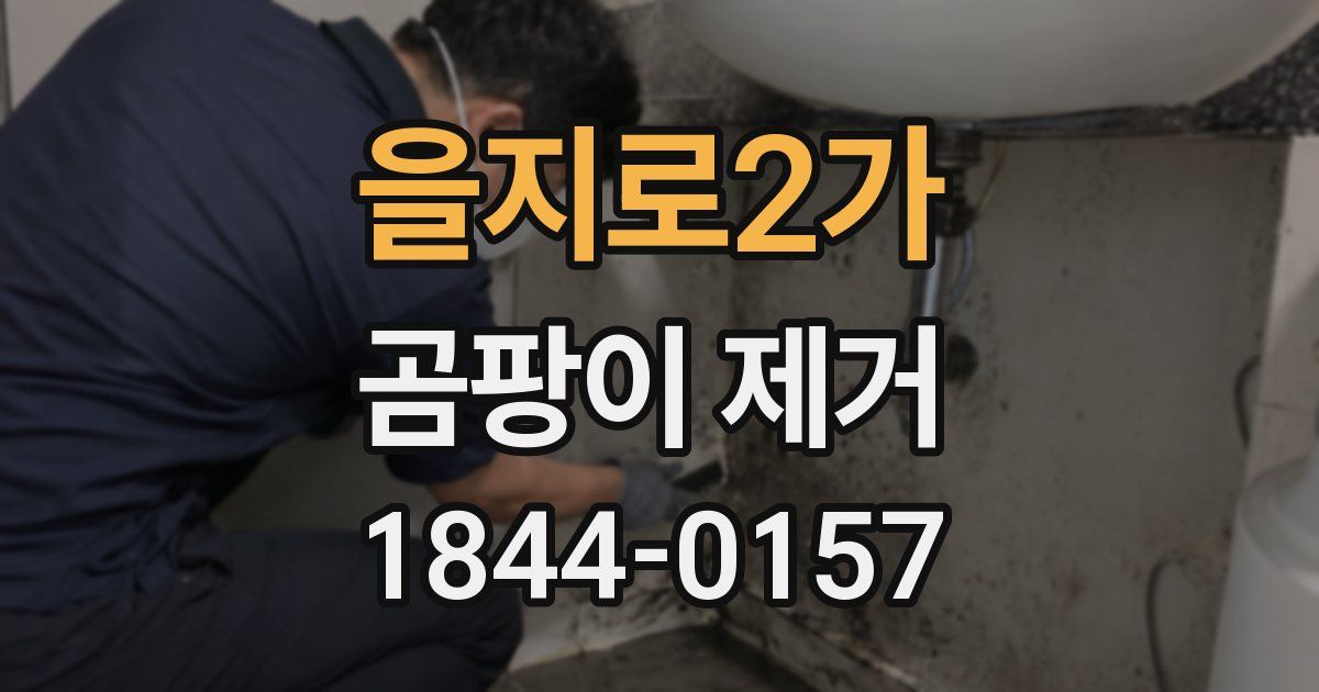 을지로2가 곰팡이 제거