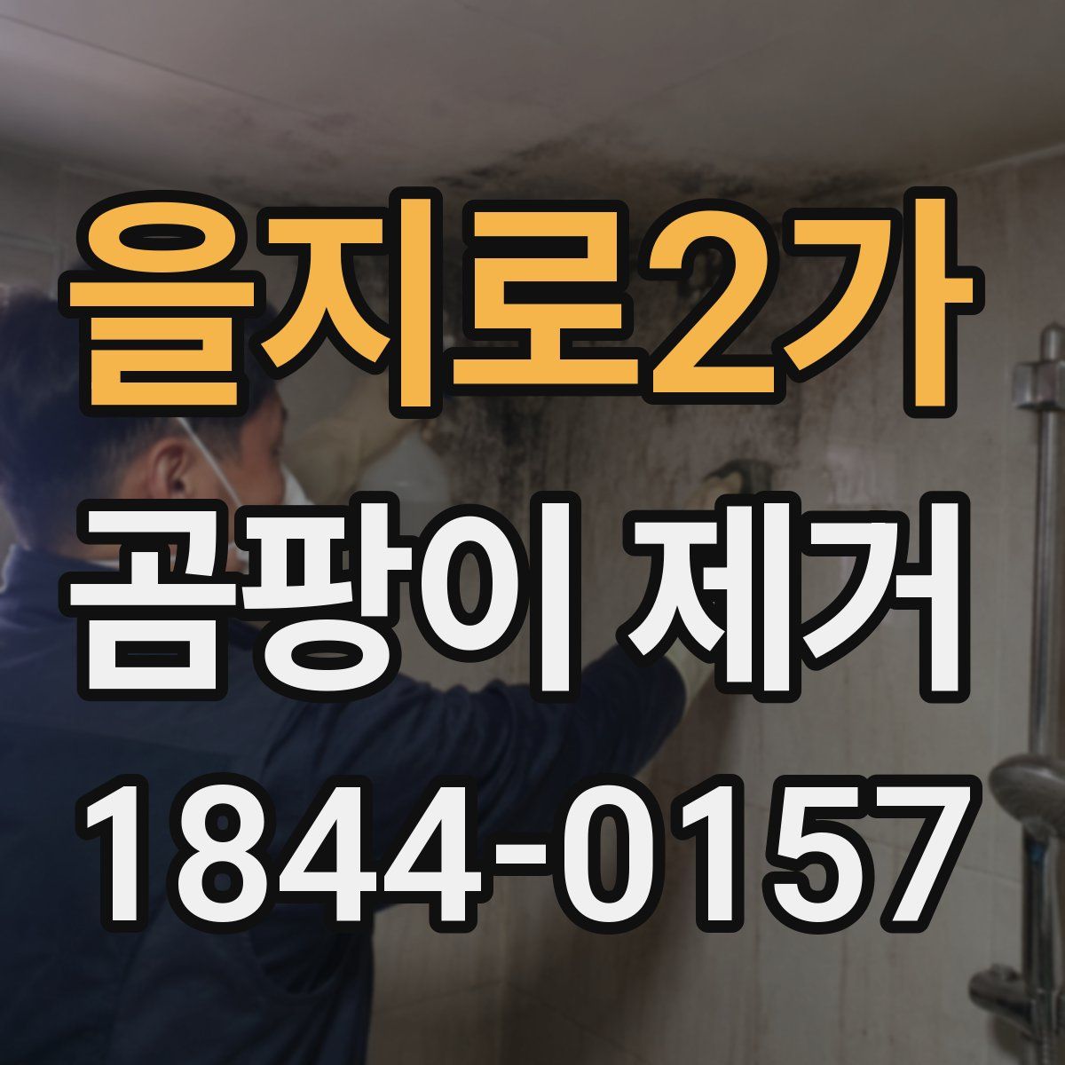 을지로2가 곰팡이 제거