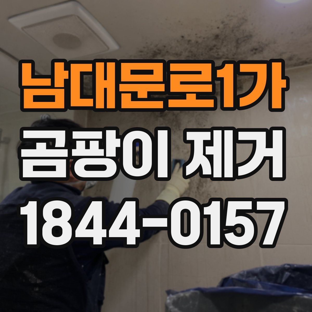 남대문로1가 곰팡이 제거