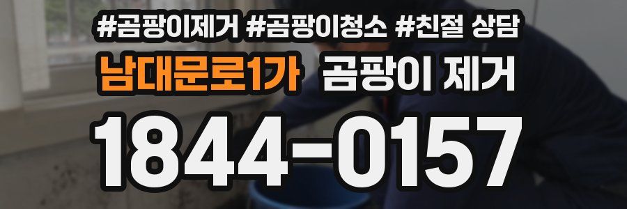 남대문로1가 곰팡이 제거