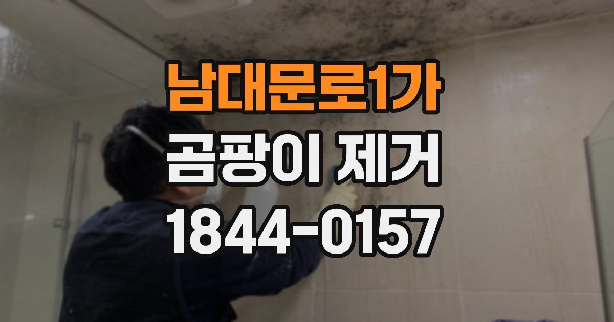 남대문로1가 곰팡이 제거
