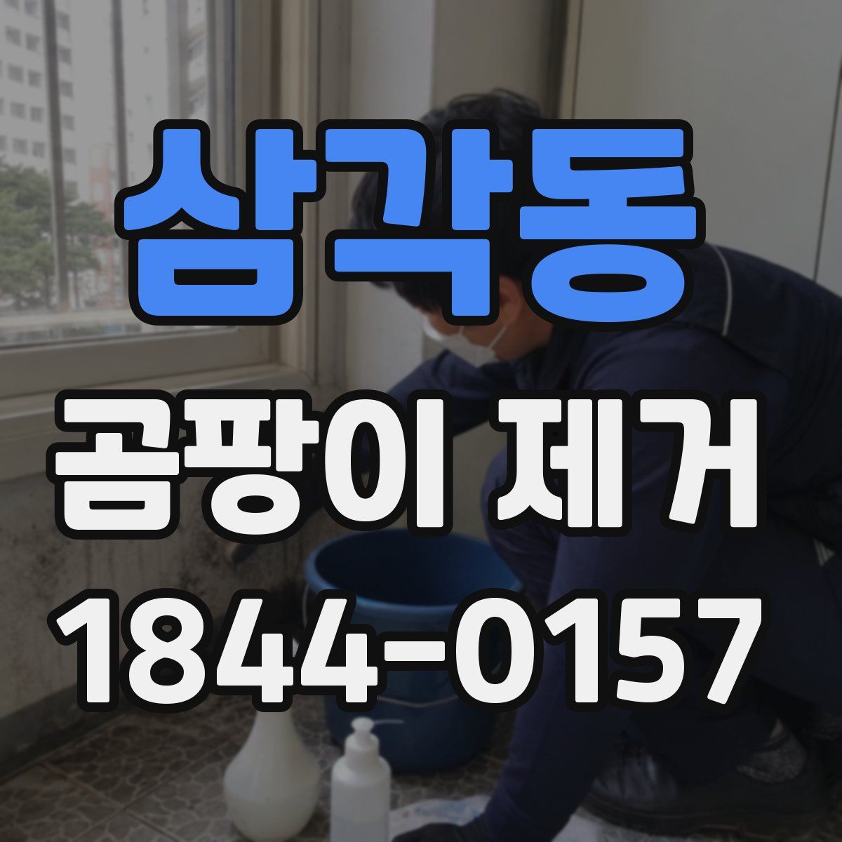 삼각동 곰팡이 제거