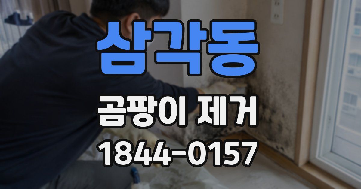 삼각동 곰팡이 제거