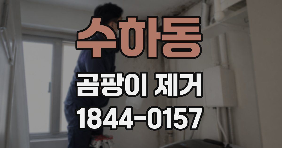 수하동 곰팡이 제거