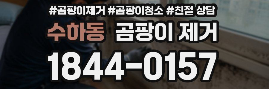 수하동 곰팡이 제거