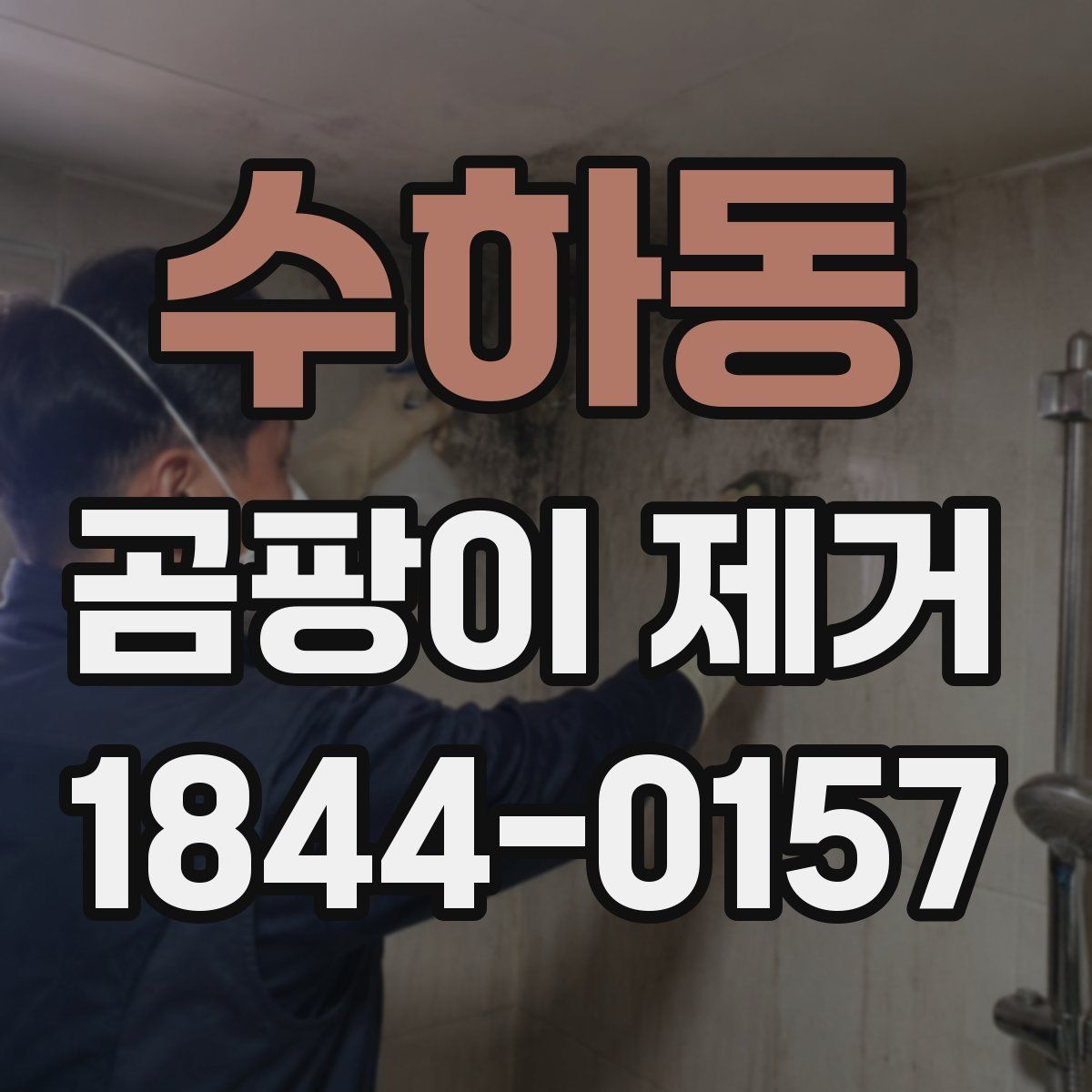 수하동 곰팡이 제거