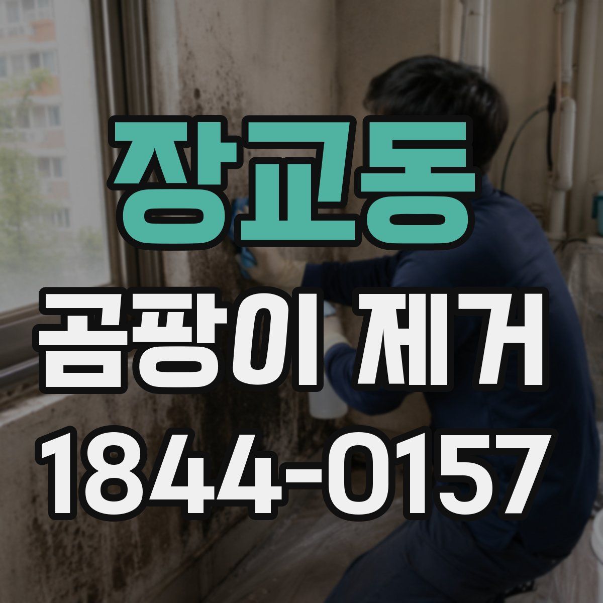 장교동 곰팡이 제거