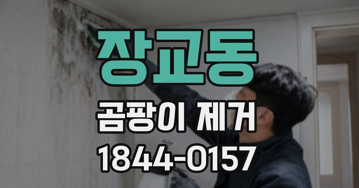 장교동 곰팡이 제거