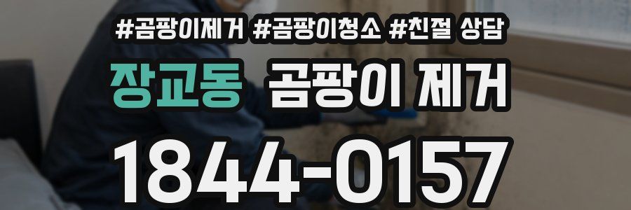 장교동 곰팡이 제거