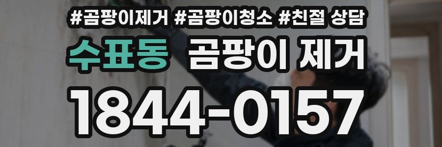 수표동 곰팡이 제거