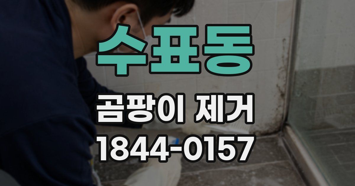 수표동 곰팡이 제거