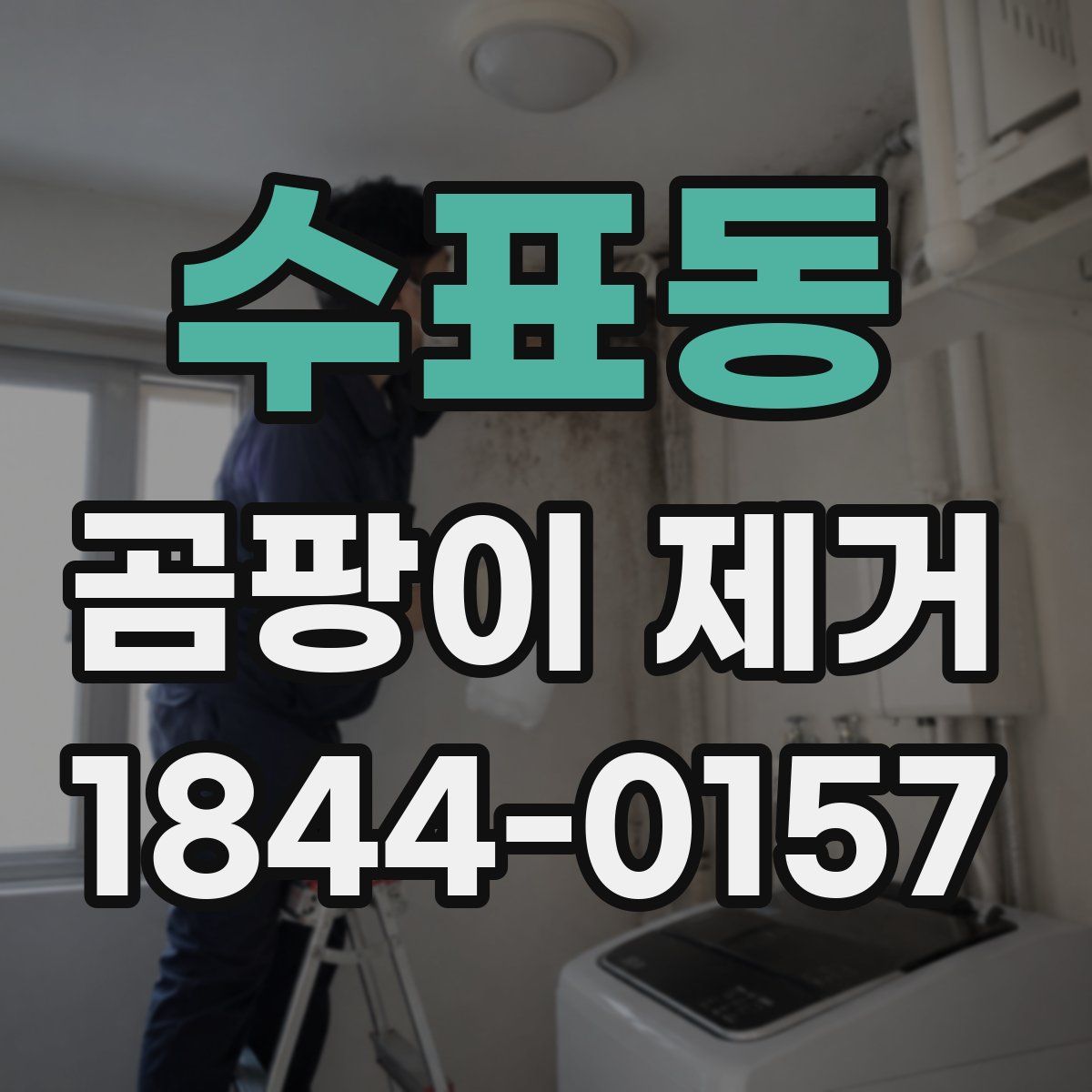 수표동 곰팡이 제거